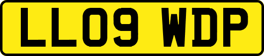 LL09WDP