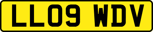 LL09WDV