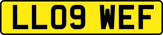 LL09WEF