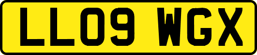 LL09WGX