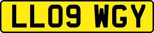 LL09WGY