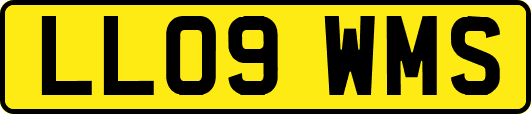LL09WMS