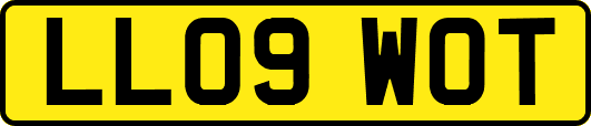 LL09WOT