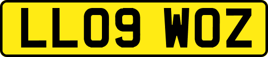 LL09WOZ