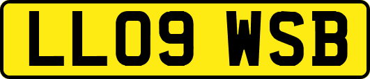 LL09WSB
