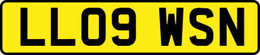 LL09WSN