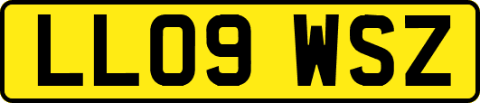 LL09WSZ