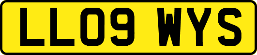 LL09WYS