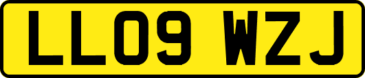LL09WZJ