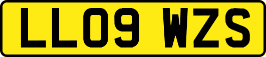 LL09WZS