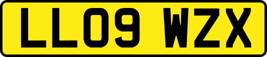 LL09WZX