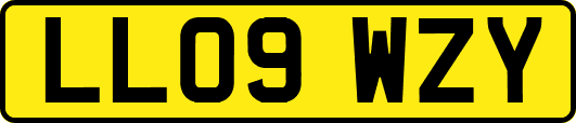 LL09WZY