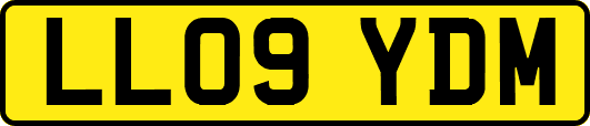 LL09YDM