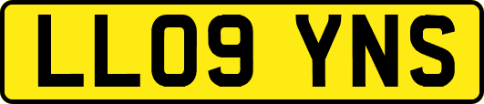 LL09YNS