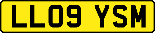 LL09YSM