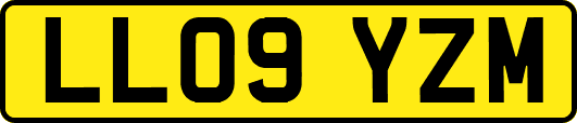 LL09YZM