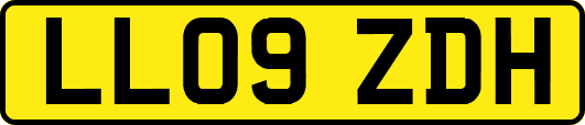 LL09ZDH