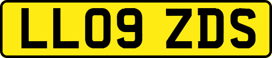 LL09ZDS