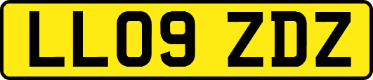 LL09ZDZ