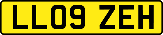 LL09ZEH