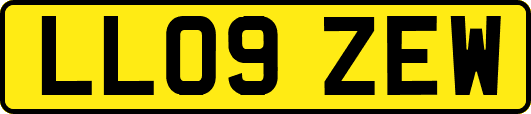 LL09ZEW