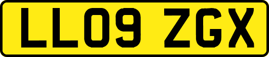 LL09ZGX