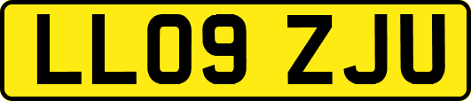 LL09ZJU
