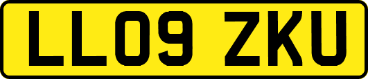 LL09ZKU