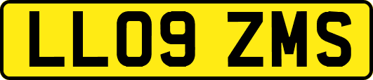 LL09ZMS