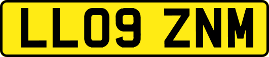 LL09ZNM