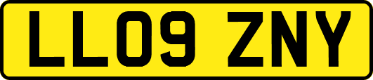LL09ZNY