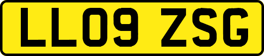 LL09ZSG