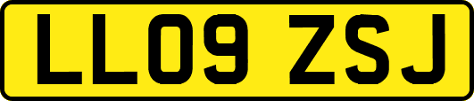LL09ZSJ