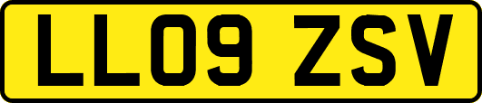 LL09ZSV