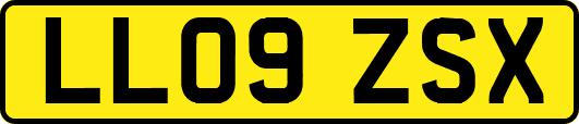 LL09ZSX