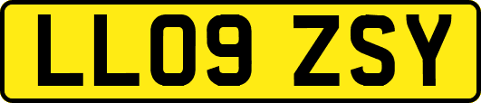 LL09ZSY