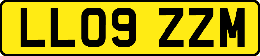 LL09ZZM