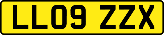 LL09ZZX