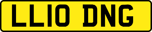LL10DNG