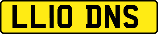 LL10DNS