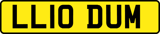LL10DUM