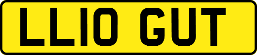LL10GUT