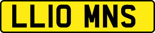 LL10MNS