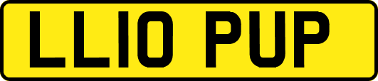 LL10PUP