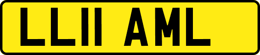 LL11AML