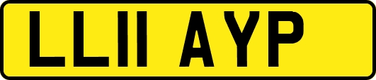 LL11AYP