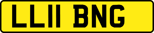 LL11BNG