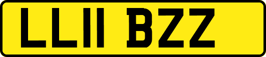 LL11BZZ