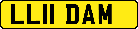 LL11DAM