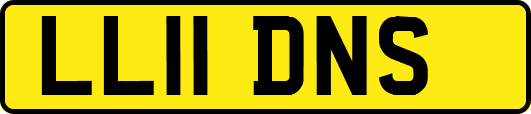 LL11DNS